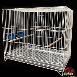 comprar criadeira para aves