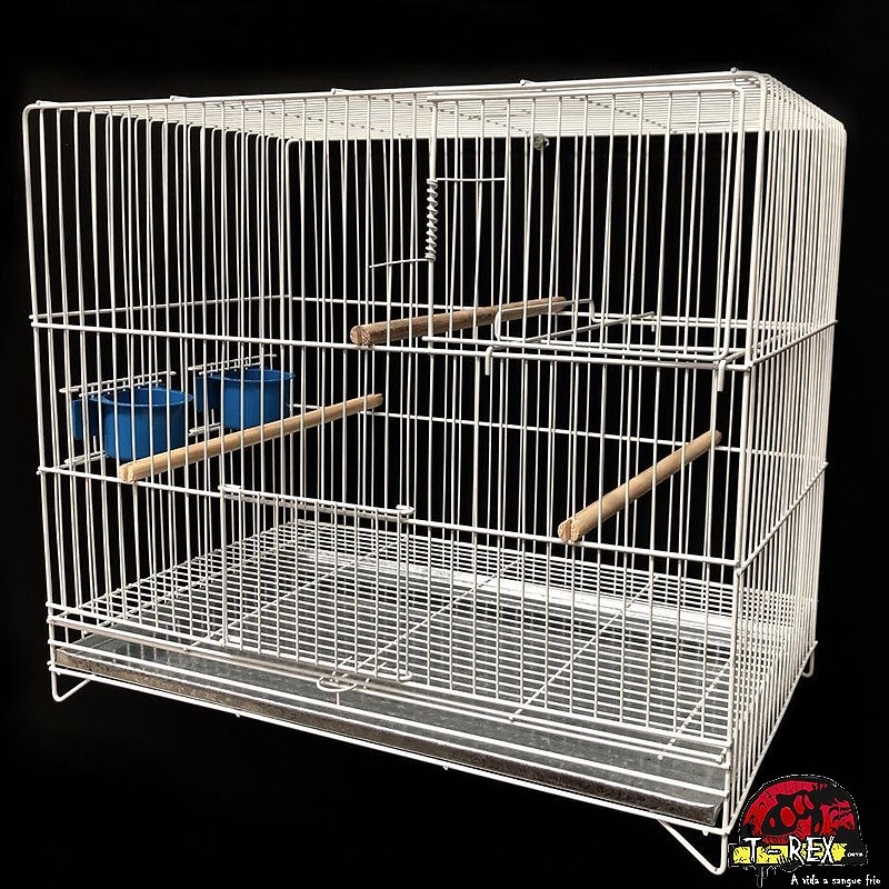 comprar criadeira para aves