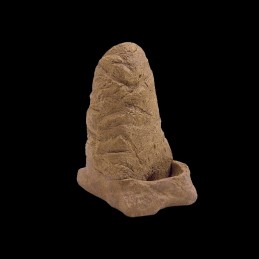 bebedouro grande para répteis