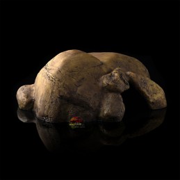 Toca para Répteis e Cobras