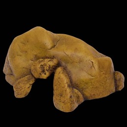 Toca para Terrário de Répteis