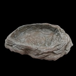 bebedouro jabuti repteis