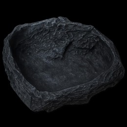 Bebedouro Répteis Pogona