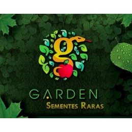 Crisântemo Arco-Íris - Sementes Raras - Exóticas