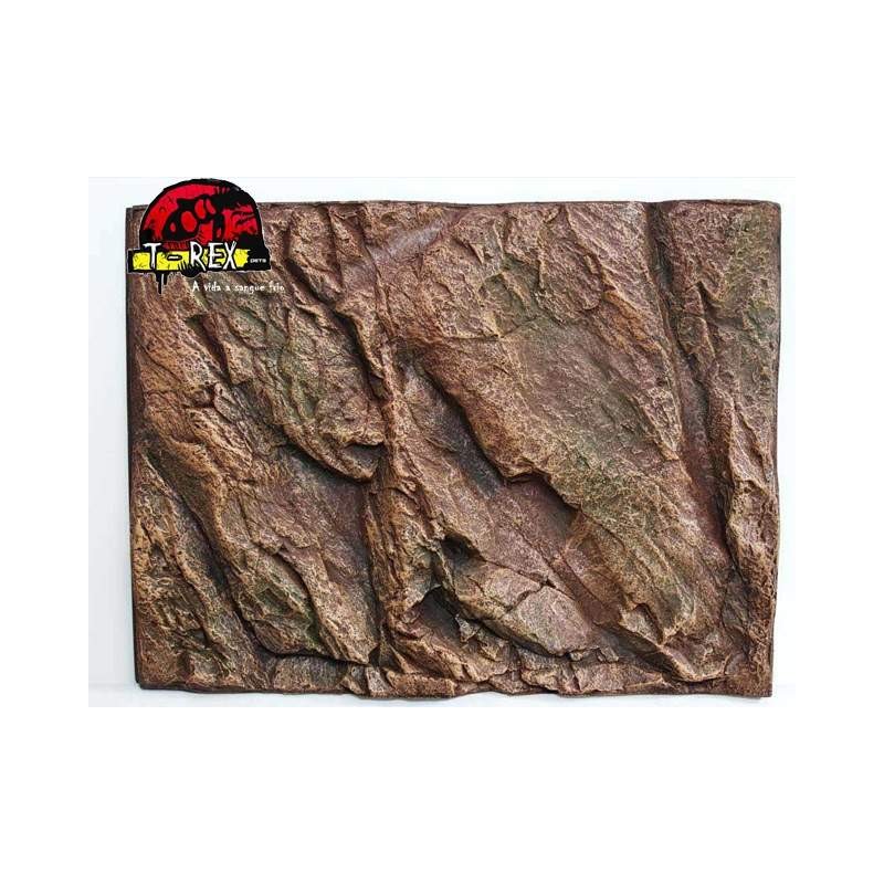 Background Rochoso 3d  Repteis | Iguana