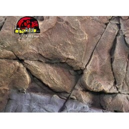 Background Rochoso 3d  Repteis | Iguana