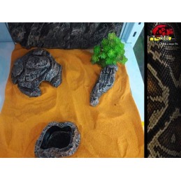 Terrário 02 | Gecko | Corn | Aranhas | Répteis 