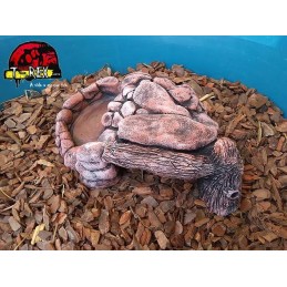 Toca Tronco Terrário | Corn Snake