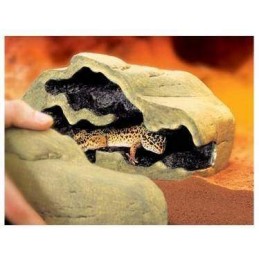 Reptile Den Répteis | Iguana | Pogona | Gecko