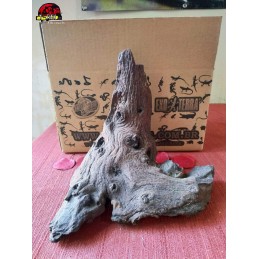 Tronco Natural 01