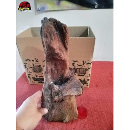 Tronco Natural Aroeira 04