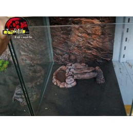 Terrário  |Leopard Gecko | Pogona Baby | Aranhas | Répteis 