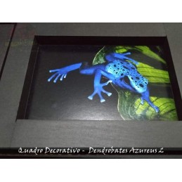 Quadro Herpetofauna