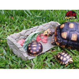 Comedouro Jabuti |Répteis | Iguana | Teiú
