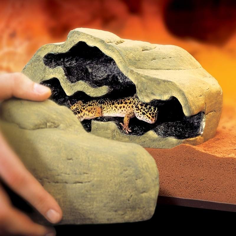 Comprar Leopard Gecko Toca