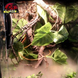 Nebulizador Umidificador para Terrario