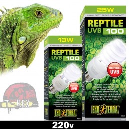 lampadas para iguana em 220v