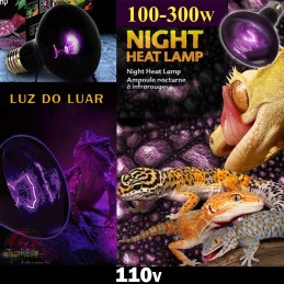 lampada aquecimento noturno repteis