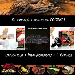 Lâmpada para Répteis Pogona