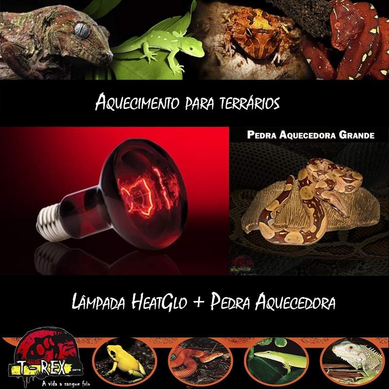 Aquecimento terrario iguana