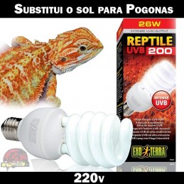 Lâmpada para Terrário de pogonas dragao barbudo