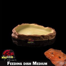 Comedouro para Jabuti