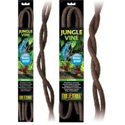 Jungle Vine
