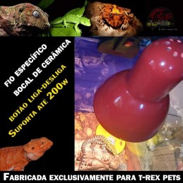 lampada para pogonas