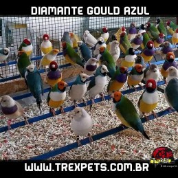 comprar diamante gould londrina