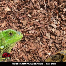 substrato para répteis