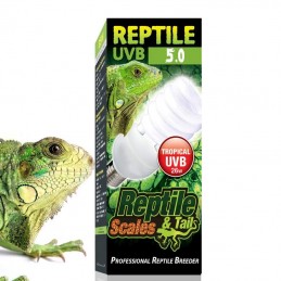 lampada para repteis