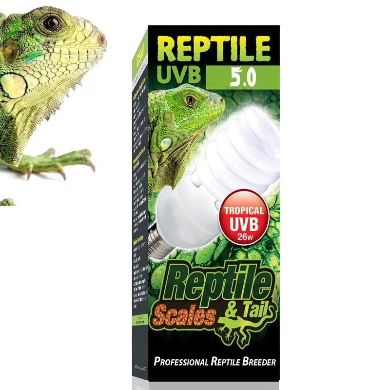 lampada para terrario de iguana