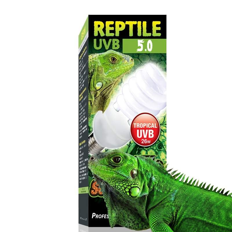 Lampadas para Iguanas