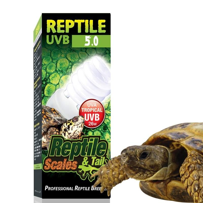 Lâmpada Uvb para Jabuti