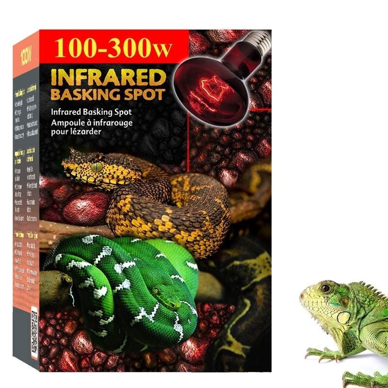 Lâmpada aquecedora para Iguana