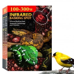 Aquecimento para Passarinhos