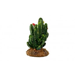Cactus - TRX2103
