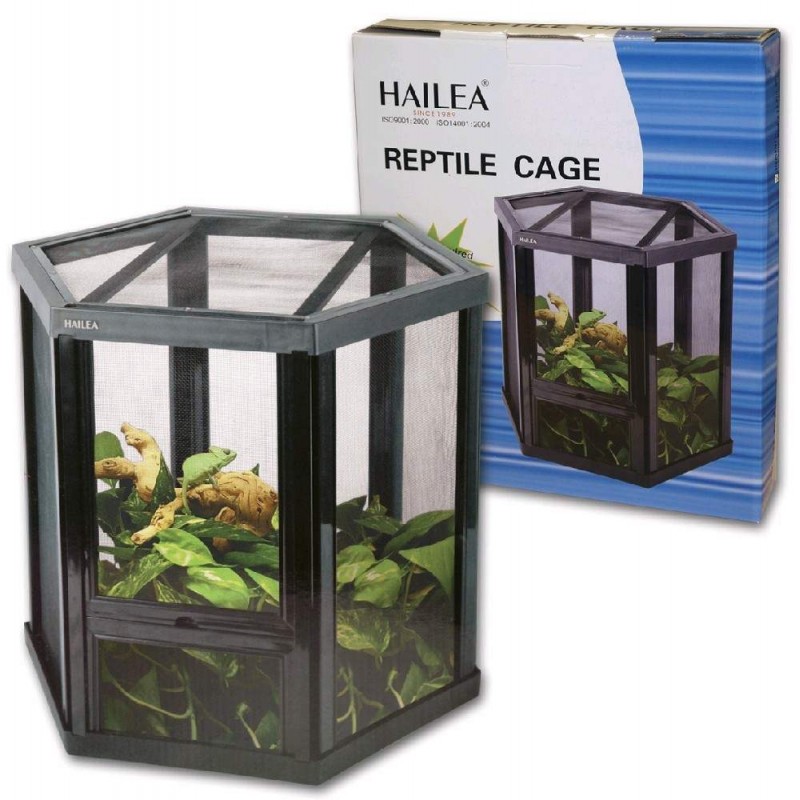 Terrário para Répteis