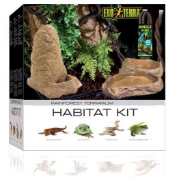 Kit Decoração Terrário Tropical