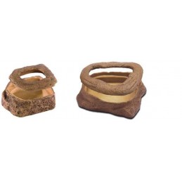 Worm Dish