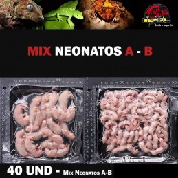 alimento vivo e congelado para cobras