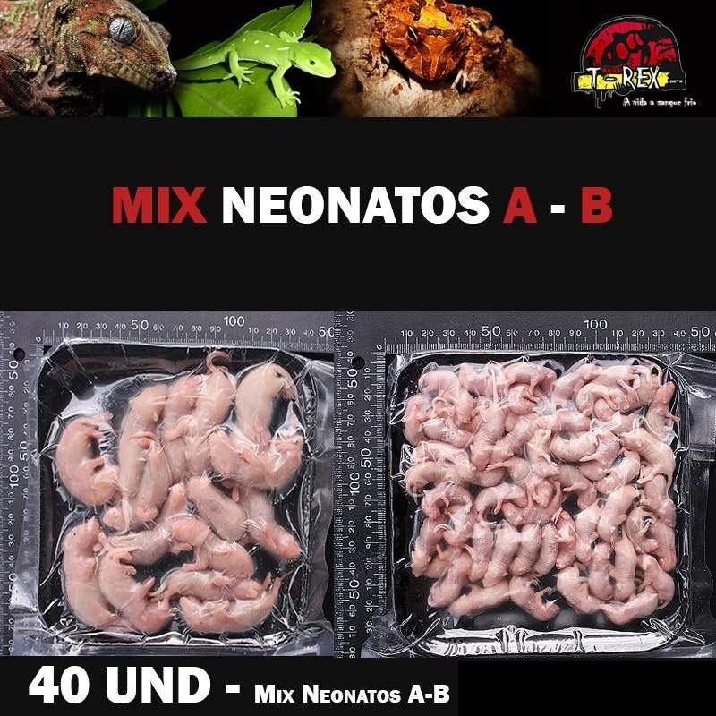 alimento vivo e congelado para cobras