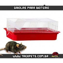 Gaiola para Biotério - Criação Camundongos