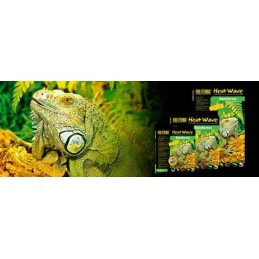 Placa aquecedora repteis