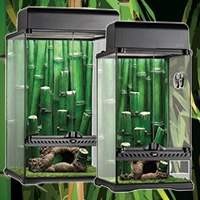 Produtos para Terrários de Répteis - Garanta um Habitat Saudável para Seu Pet