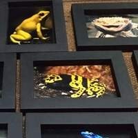 Quadros
